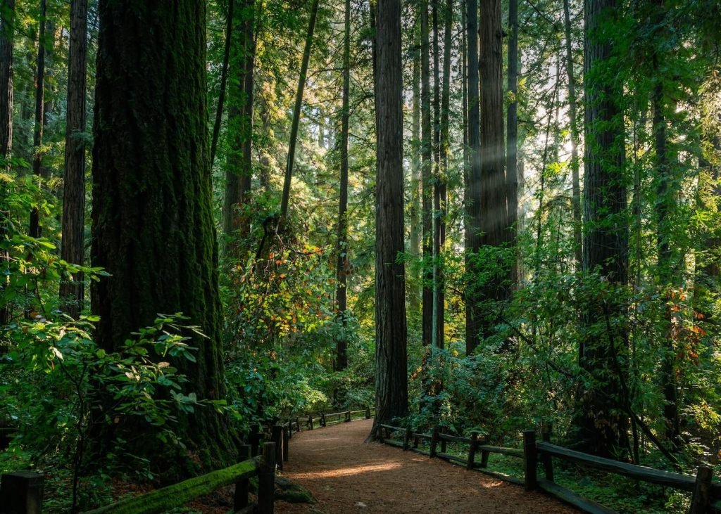 10 Rustic Wedding Venues in the Bay Area