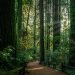 10 Rustic Wedding Venues in the Bay Area