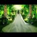 3 Months To Create This Forest Themed Wedding !