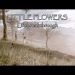 Little Flowers – Beautiful Christian Inspirational and Wedding Song