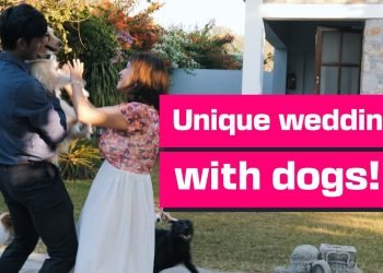 Our intimate wedding and honeymoon with five dogs | Panasonic Lumix S5 + S 20-60mm
