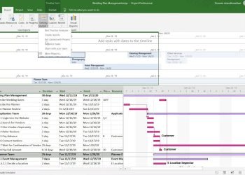 Wedding Plan Management (Microsoft Project) – Video Presentation (Academics)