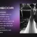 Planning a Wedding on a Shoestring Budget | Wedding Planning Suggestions| Tyler Matkowski