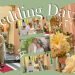 Melaii & Crisdon Intimate Wedding | SDE film by Zen