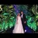 Checkout How this Jungle Wedding Setup was Built from Scratch!
