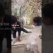 having fun with wedding | brother and sister wedding status | Zahrun & Zahra