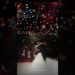 Trang and Stephen intimate wedding by #Derossastudio