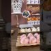 I hosted my sister's bridal Wedding Decorations,event Decor