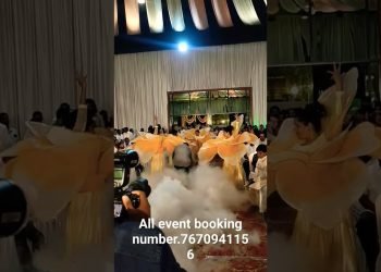 my program wedding planner all all parties events planning