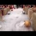 Neer Event Management Company: Wedding Theme Entry | Bride/Groom Entrance | Best Wedding Planner