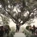 Intimate wedding at Cigarral de las Mercedes Toledo, Spain