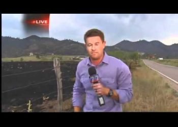 Couple Planning Wedding In Burn Zone