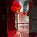 Romantic Room Decoration for Wedding Night, First Night Bedroom Decor #short