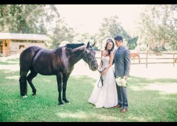 Wedding Planning – Behind-the-scenes (Arluis Weddings Hawaii)