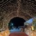 wedding Reception | 8 June 2022 | ( @jothimahalac.dharmapuri3071 ) #wedding #reception #decoration
