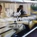 Charlotte Wedding DJ C'leb Entertainment Video