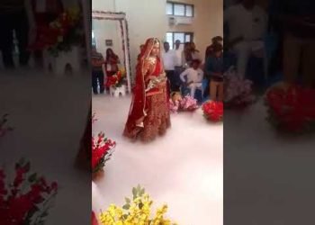 Rajasthani clture Marriage Dance videos |