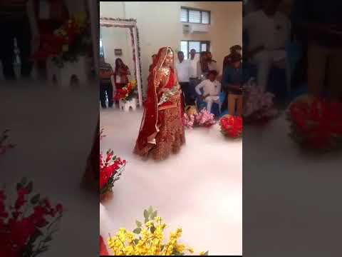 Rajasthani clture Marriage Dance videos |