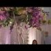 Just Marry Wedding Planning Secrets
