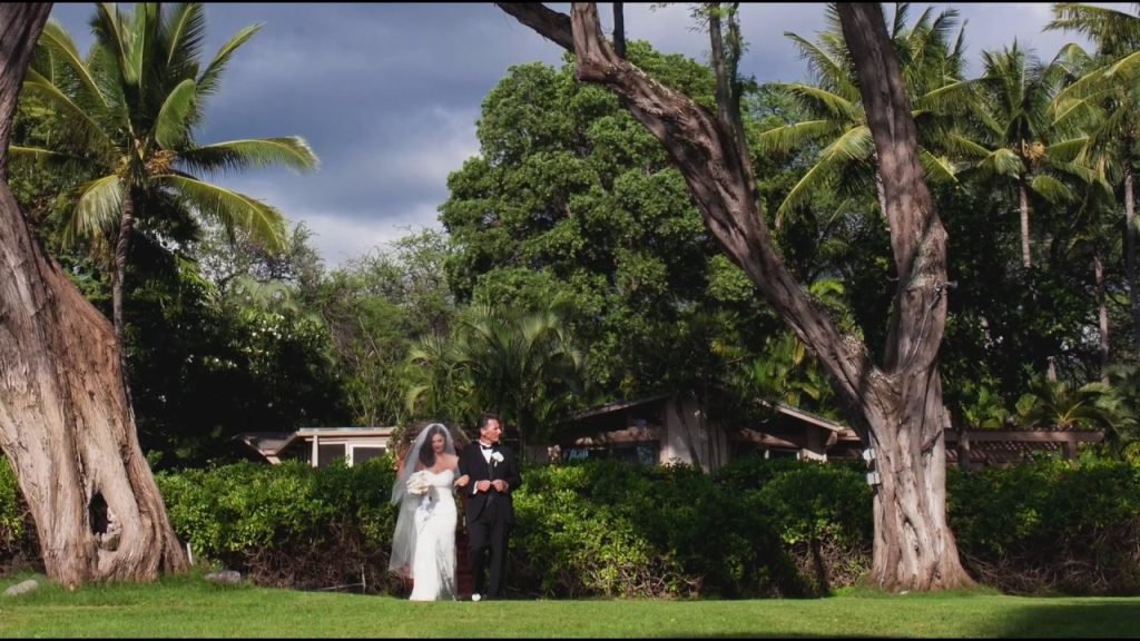 Best Destination Wedding Venues Maui Hawaii