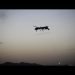 U.S. Drone Kills 13 At Wedding Party In Yemen