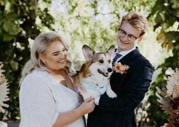 how to include your dog in your wedding hero image featuring corgi