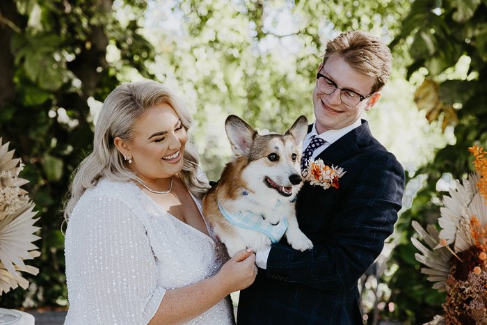 how to include your dog in your wedding hero image featuring corgi
