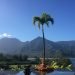 Karena & Bobby's Hawaiian Holiday & Wedding Planning!