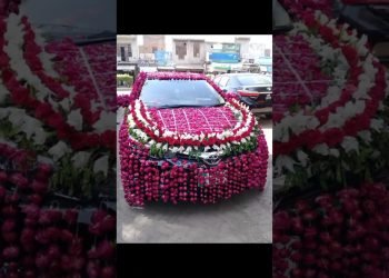 Top 5 Designs Of Wedding Automotive's Decorations |#ytshorts #trending #viral