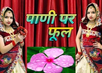 Pani Par Phool ||Raj. Wedding DJ Song || Singer Balli Mohanwadi & Pooja Dotasara ||Dance By Apeksha