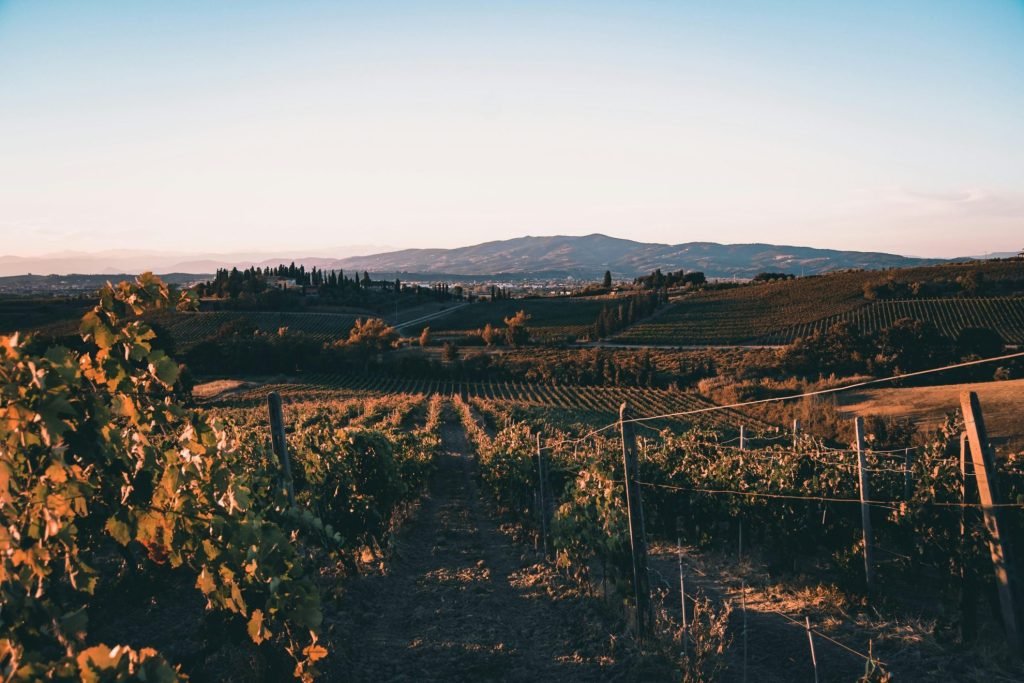 Elegante Weddings in Tuscany: Tour of Toscana