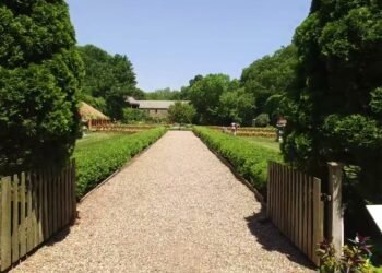 A Common Mistake I See in Outdoor Wedding Planning