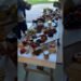 Let’s construct a Fall Wedding Grazing Table.