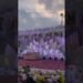Decoration is wending stage decoration  wedding  reception