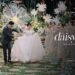 Intimate Wedding | Tiktoker Review by Quyên 4K