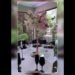 The Garden Venue: Intimate Wedding Venue | Wedding Venue based in Johannesburg, Gauteng