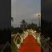 Mesmerizing Wedding Stage Setups by ybwplanners! #decor #onthisday  #weddingphotography #design