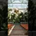 Valentine Wedding Venue in DTLA