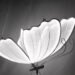 ROOMEDAL Wedding Butterfly Floor Lamp for Wedding Party Birthday Decorations