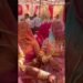 laya mayro 😍🙏🏻 #dj #song #wedding #rajasthani #partymusic #dance #dancemusic #marwadi #trending😍