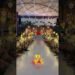 Where Your Dream Wedding Meets Flawless Planning #wedding #weddingplanner #shaadi #shaadi2025 #event