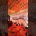 Latest Design Stage || December Ideas || Wedding Stage