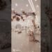 wading decor ideas ✨| recent design stage decoration ideas 💡|#ytshorts #wedding #event #shortyz #aweber
