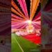 Pandal Decoration with Lights #wedding #marriageanniversary