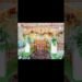 Dekorasi Intimate Wedding di Cafe Aesthetic || @mrdecorationgarut
