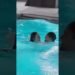 POV: Wedding Pool Party