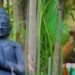 Exotica Retreat wedding venue