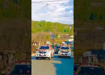Beautiful Wedding Automobile's Decorations |#artificialflowers #beautifuldecoration #shorts #viral #trend