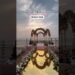 WEDDING | ENGEMENT IN GOA BEACH | BEACH WEDDING VENUE | BARMALA SATGE BEACH GOA | NORTH GOA |