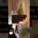 Intimate Wedding Al Ghazali dan Alyysa Mewahnya Tak Terduga